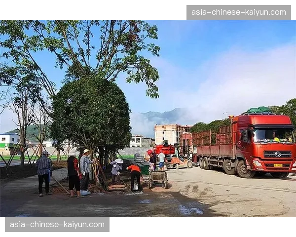 特写：NBA关怀行动走进新奥尔良社区，协助风灾后重建工作